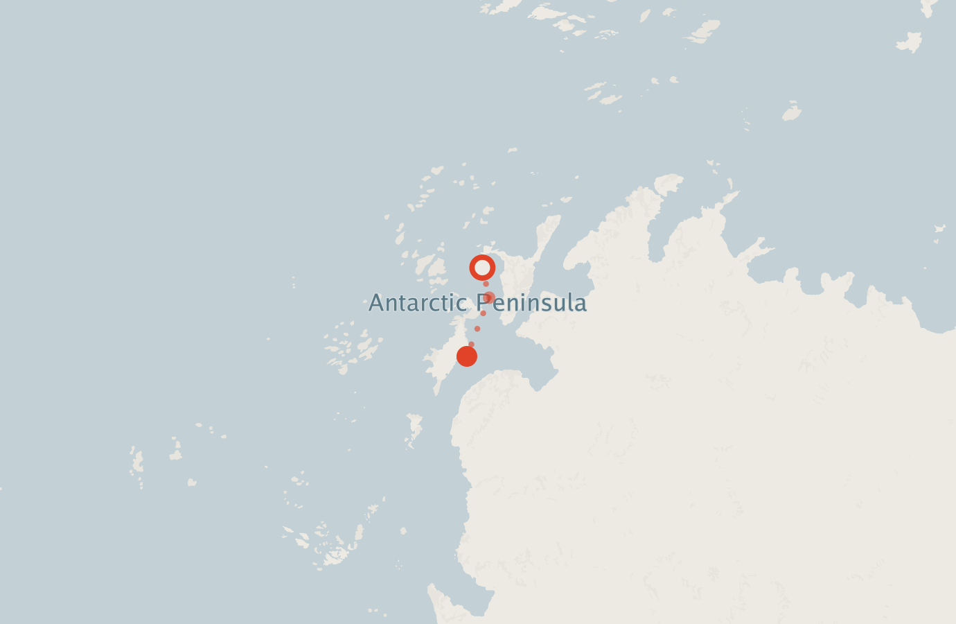 Activity map — real sighting points on an OpenStreetMap basemap