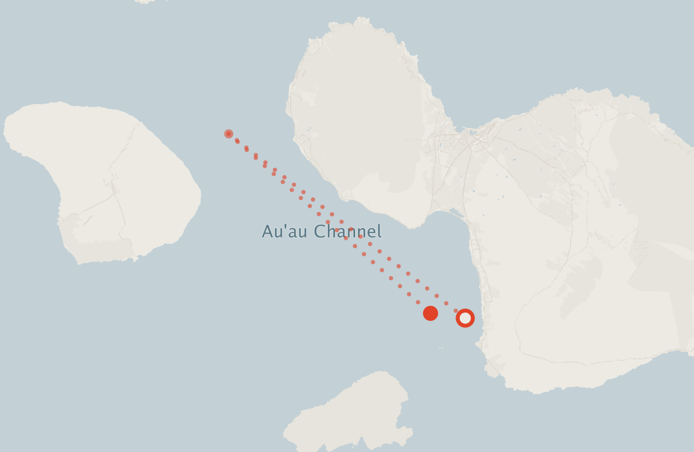 Activity map — real sighting points on an OpenStreetMap basemap