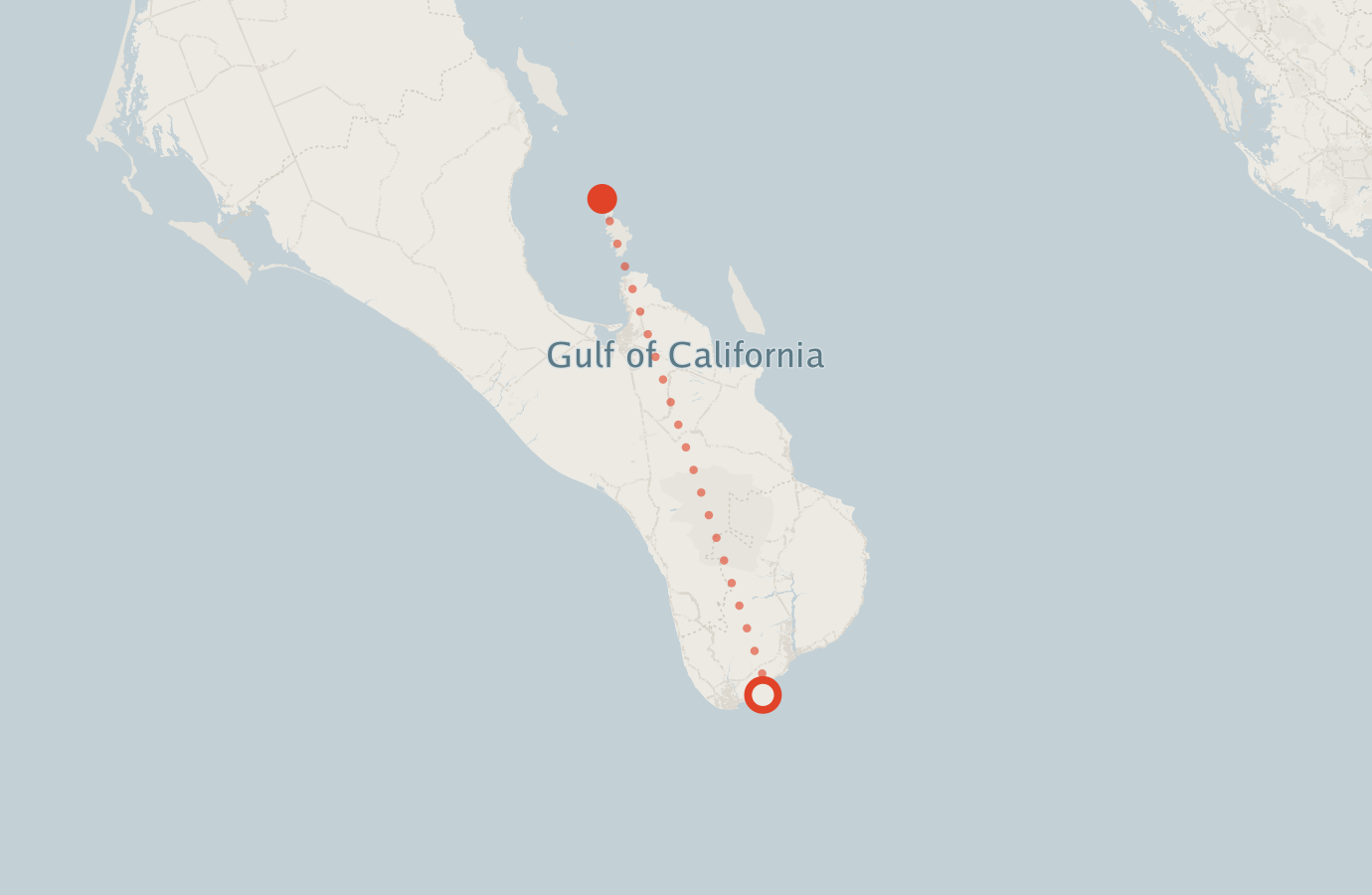 Activity map — real sighting points on an OpenStreetMap basemap