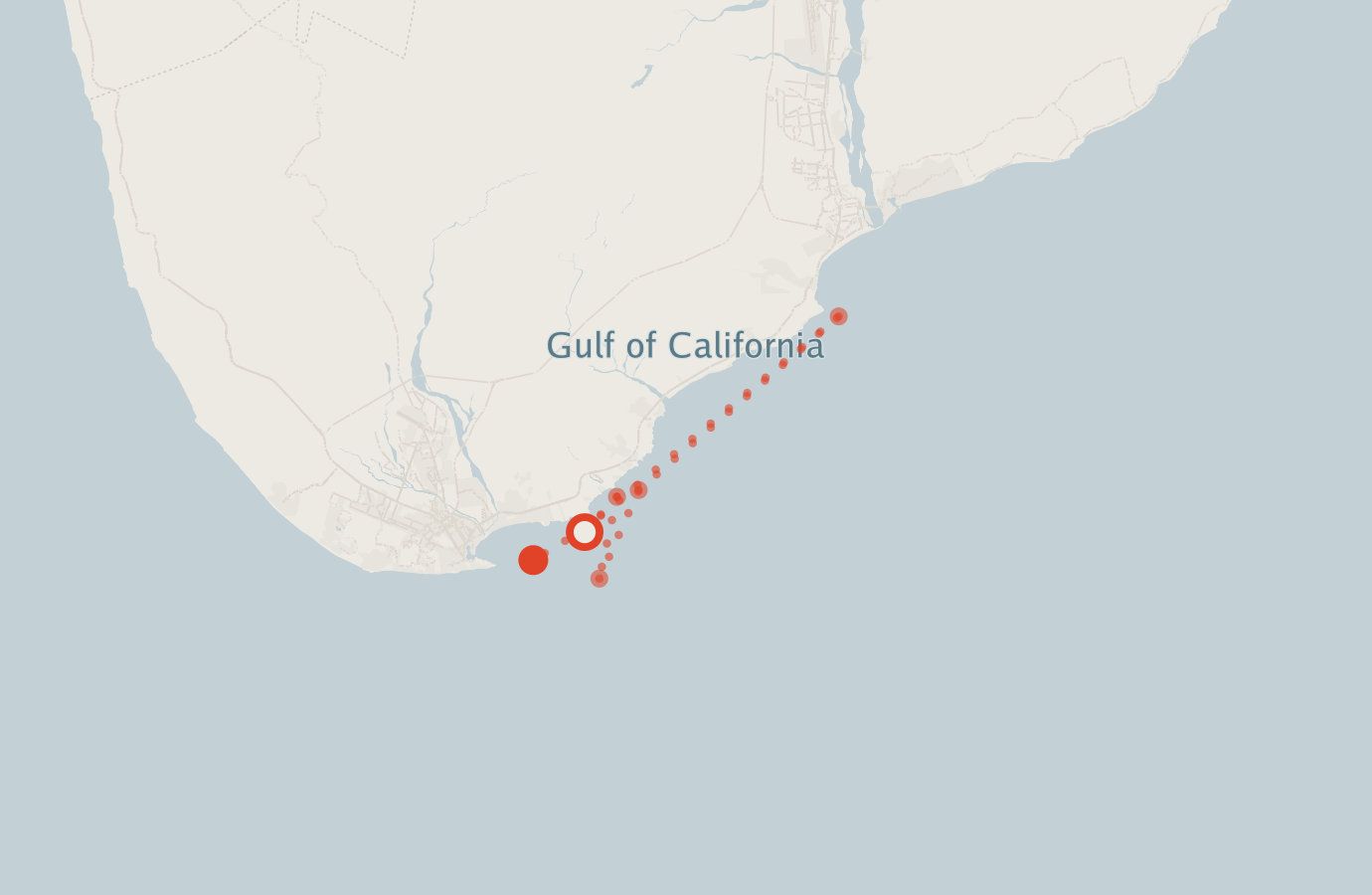 Activity map — real sighting points on an OpenStreetMap basemap