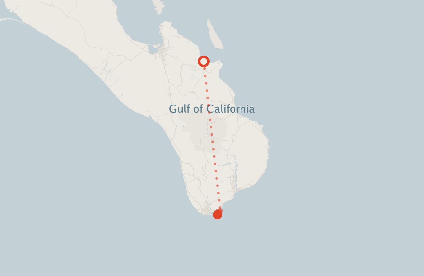 Activity map — real sighting points on an OpenStreetMap basemap