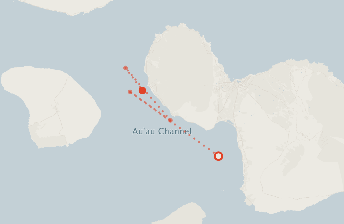 Activity map — real sighting points on an OpenStreetMap basemap