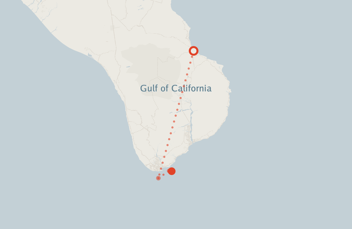 Activity map — real sighting points on an OpenStreetMap basemap
