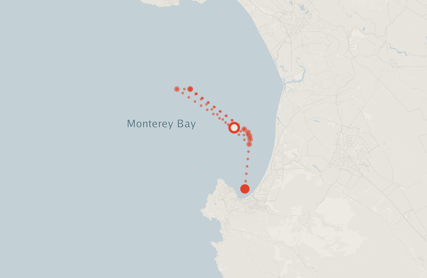 Activity map — real sighting points on an OpenStreetMap basemap