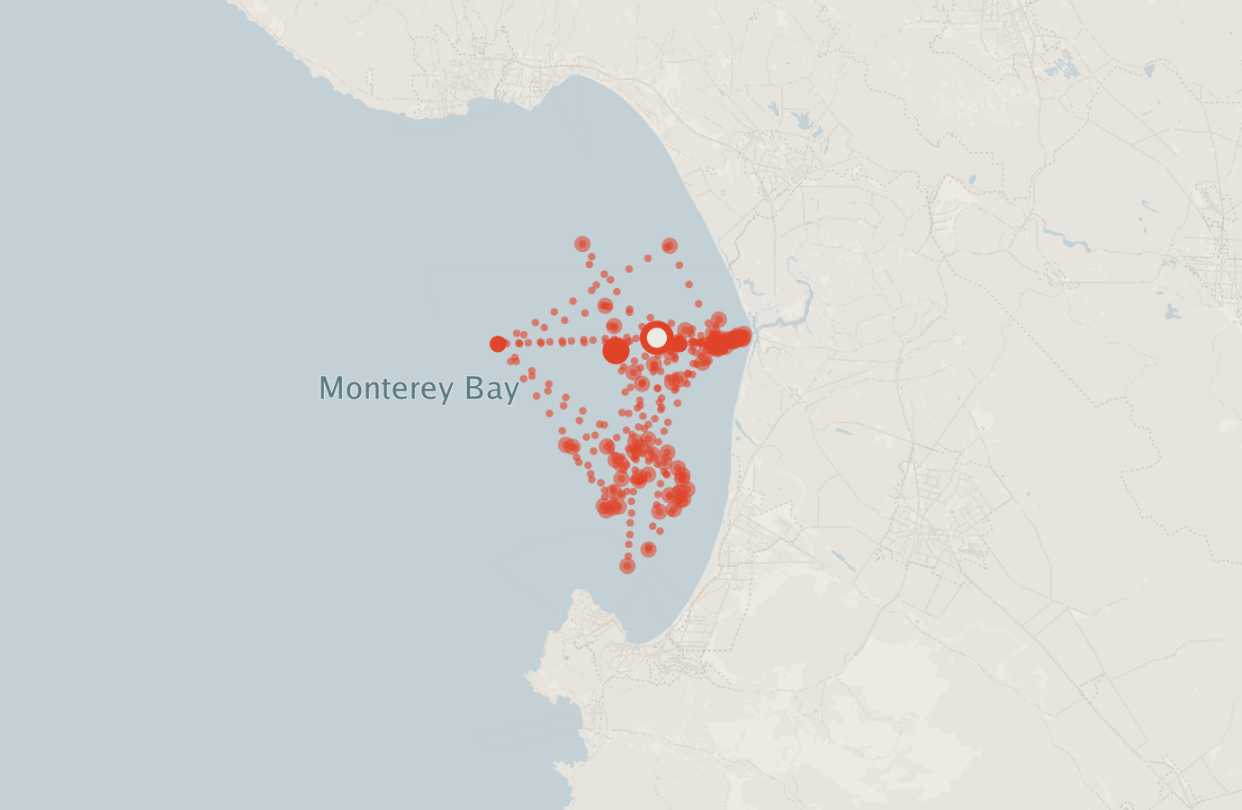 Activity map — real sighting points on an OpenStreetMap basemap