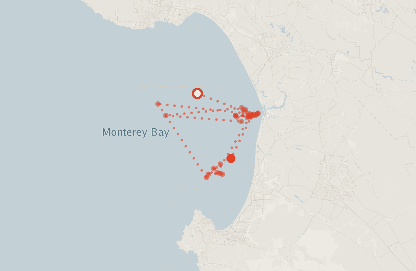 Activity map — real sighting points on an OpenStreetMap basemap