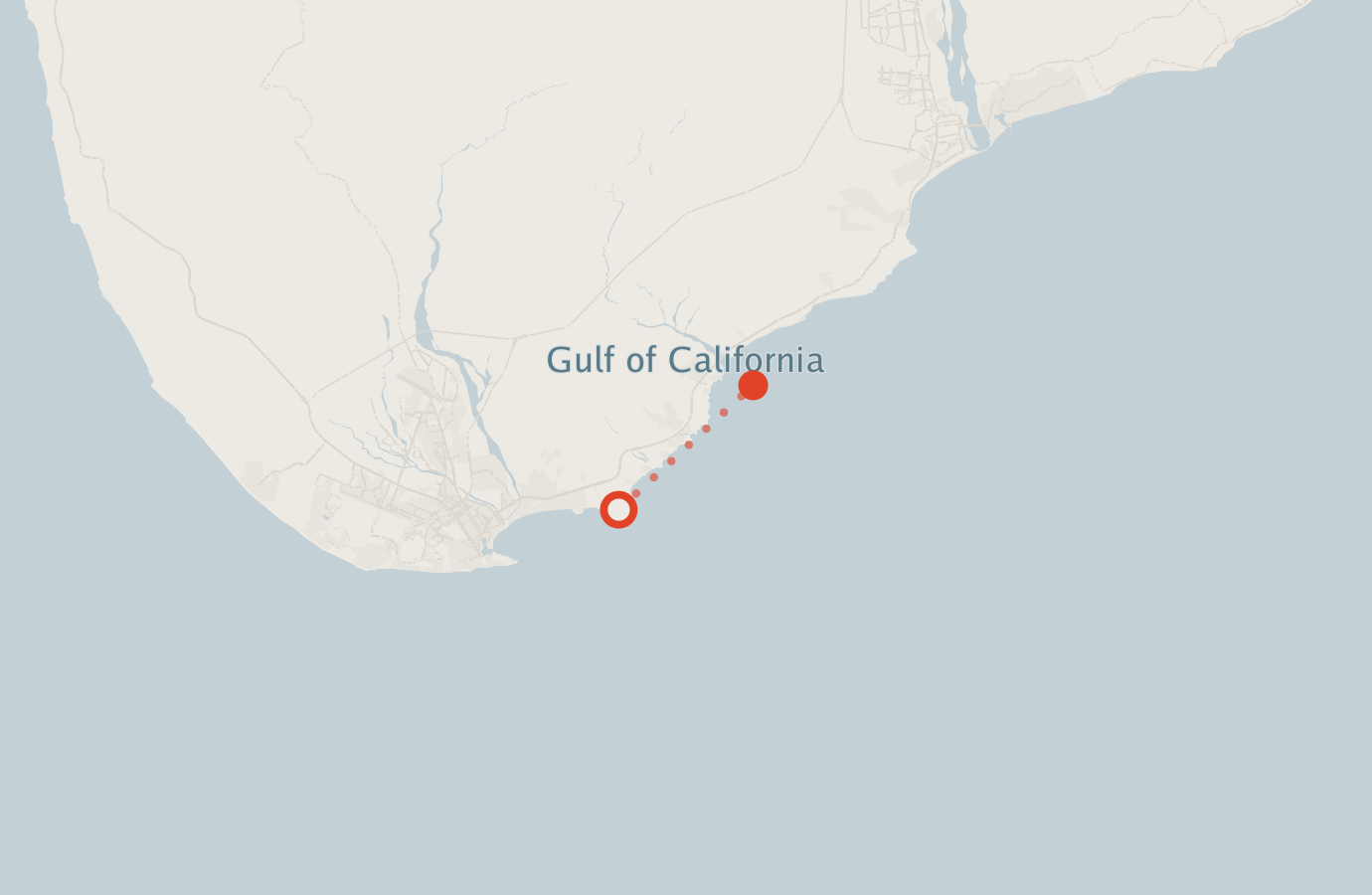 Activity map — real sighting points on an OpenStreetMap basemap