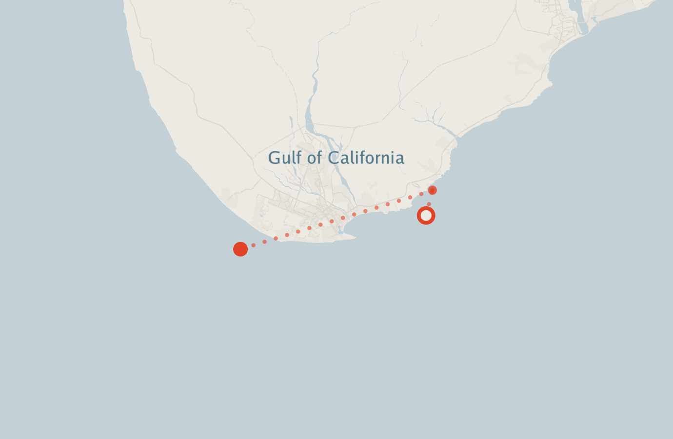 Activity map — real sighting points on an OpenStreetMap basemap