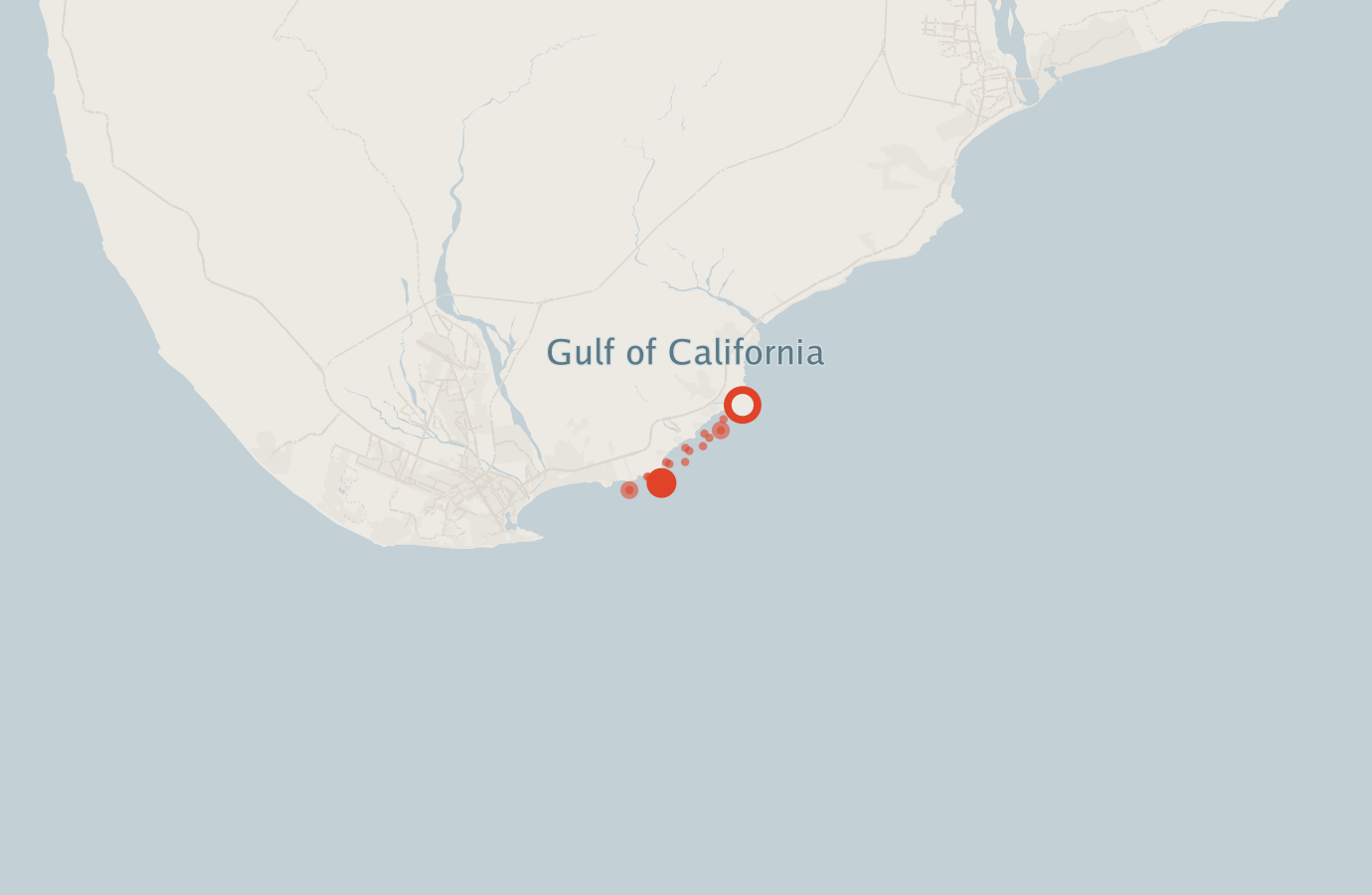 Activity map — real sighting points on an OpenStreetMap basemap