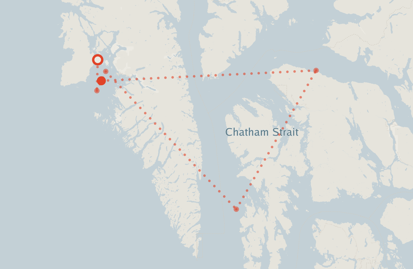 Activity map — real sighting points on an OpenStreetMap basemap