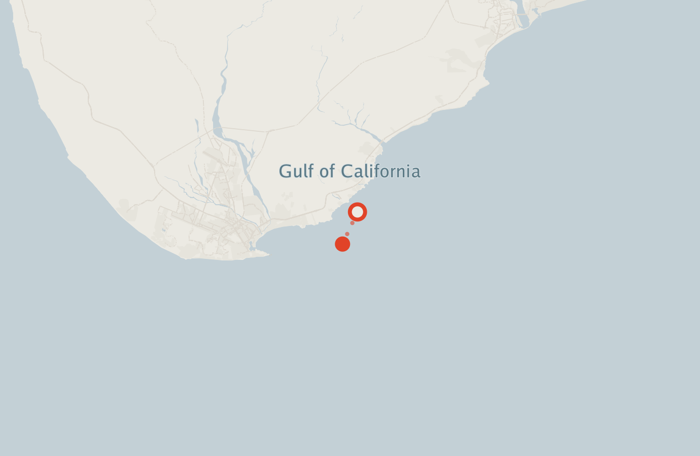 Activity map — real sighting points on an OpenStreetMap basemap