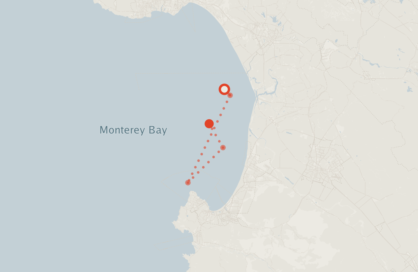 Activity map — real sighting points on an OpenStreetMap basemap