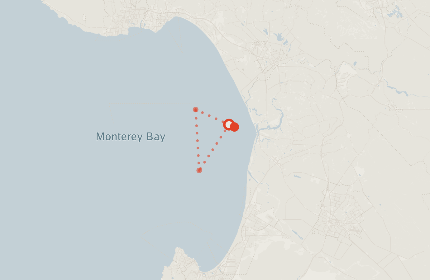 Activity map — real sighting points on an OpenStreetMap basemap