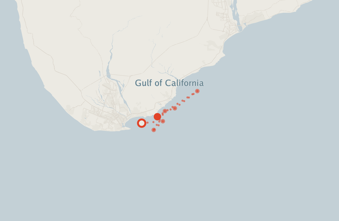 Activity map — real sighting points on an OpenStreetMap basemap