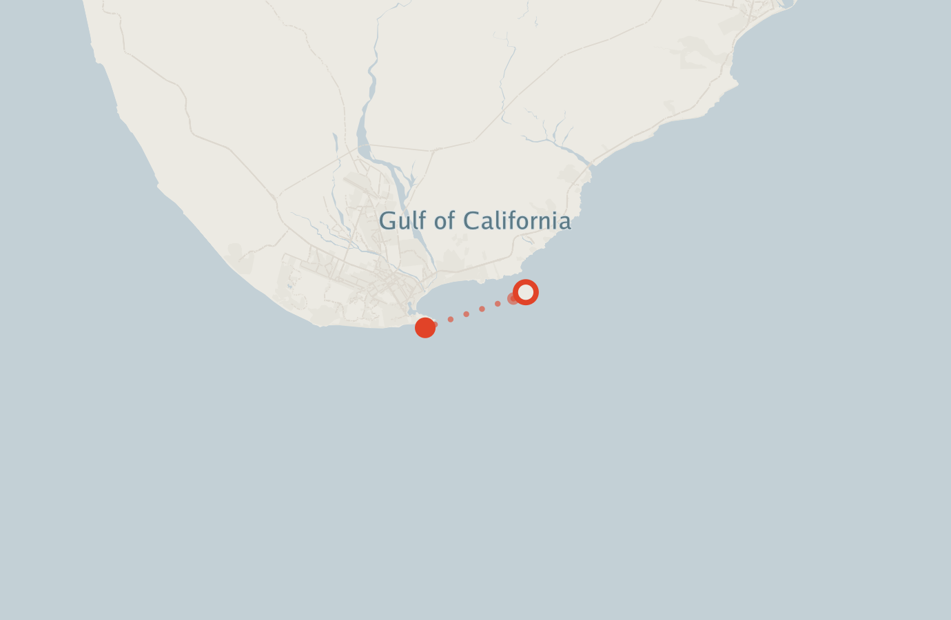 Activity map — real sighting points on an OpenStreetMap basemap