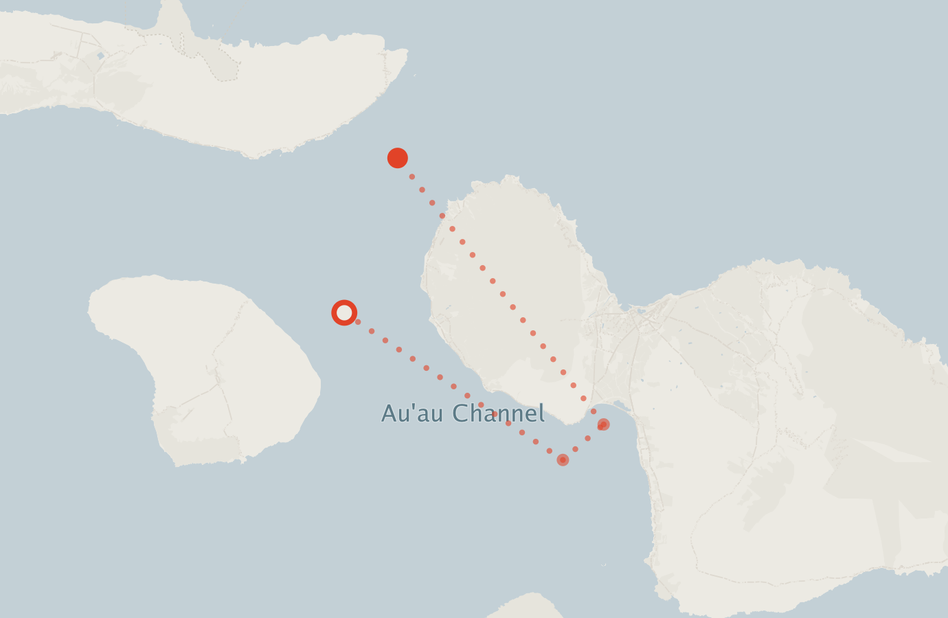 Activity map — real sighting points on an OpenStreetMap basemap