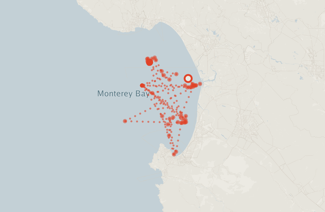 Activity map — real sighting points on an OpenStreetMap basemap