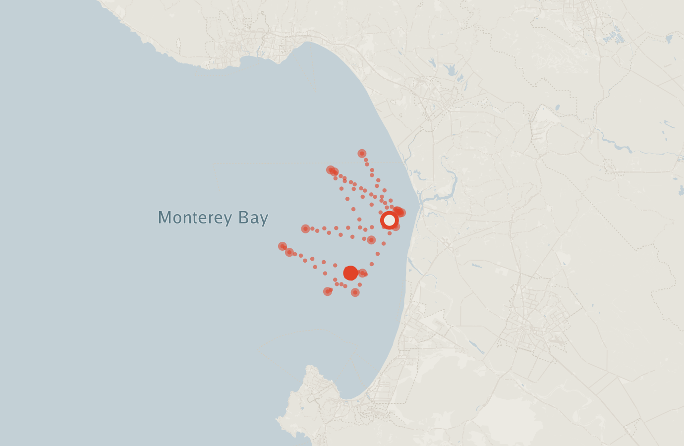 Activity map — real sighting points on an OpenStreetMap basemap