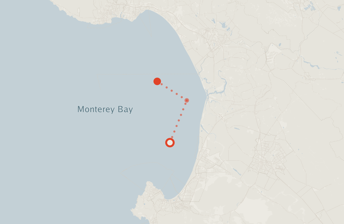 Activity map — real sighting points on an OpenStreetMap basemap