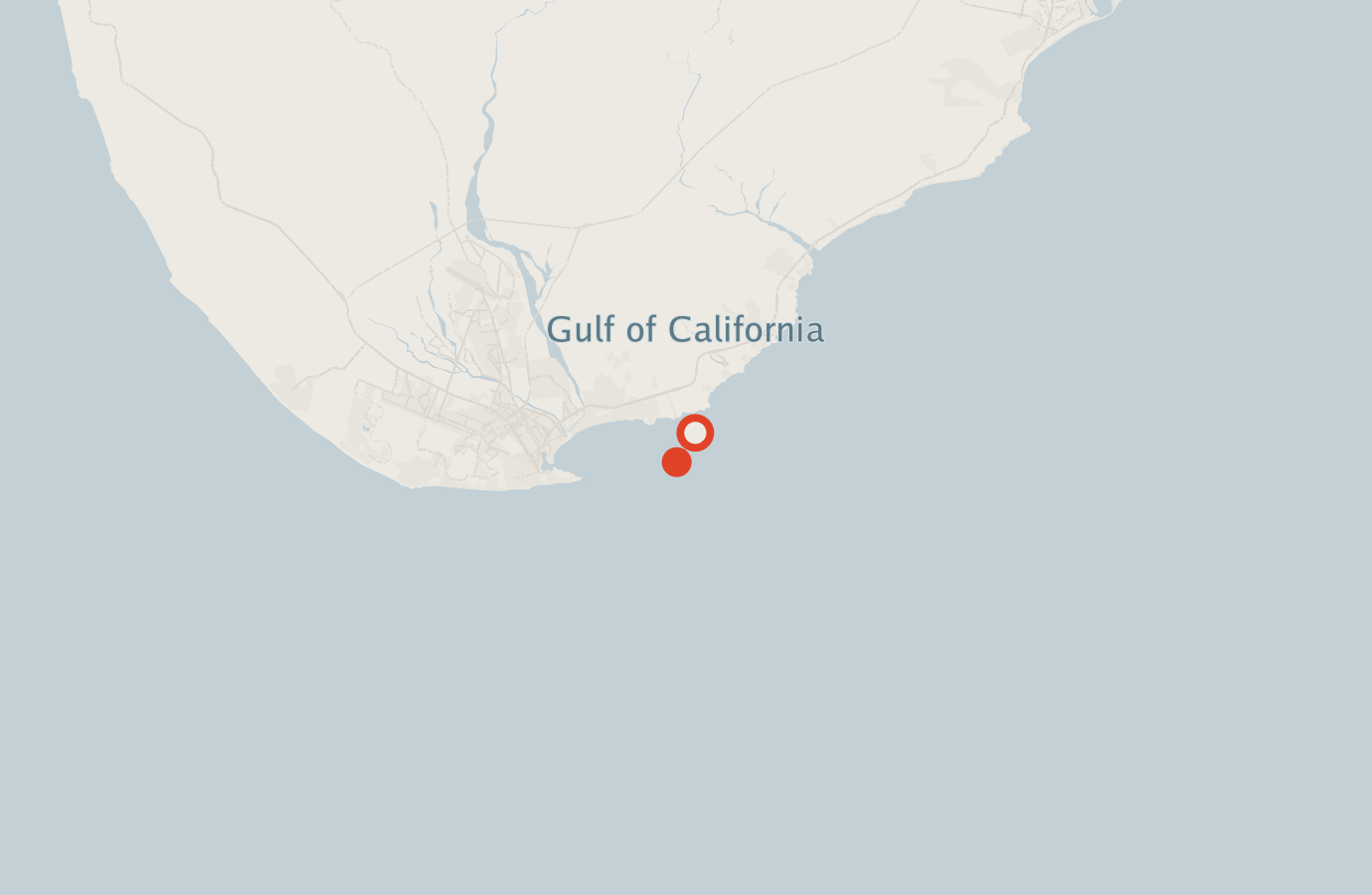 Activity map — real sighting points on an OpenStreetMap basemap