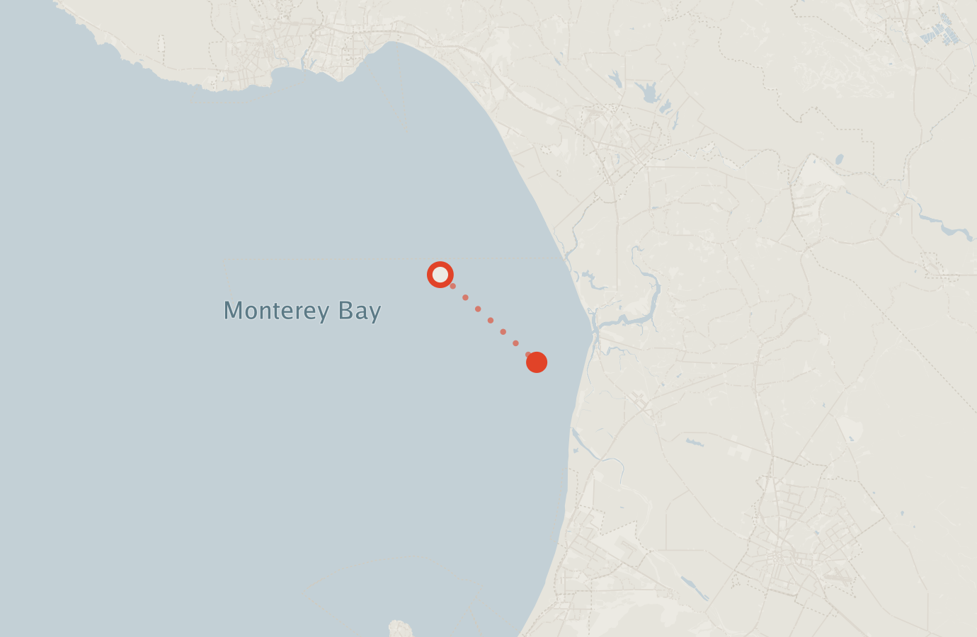 Activity map — real sighting points on an OpenStreetMap basemap