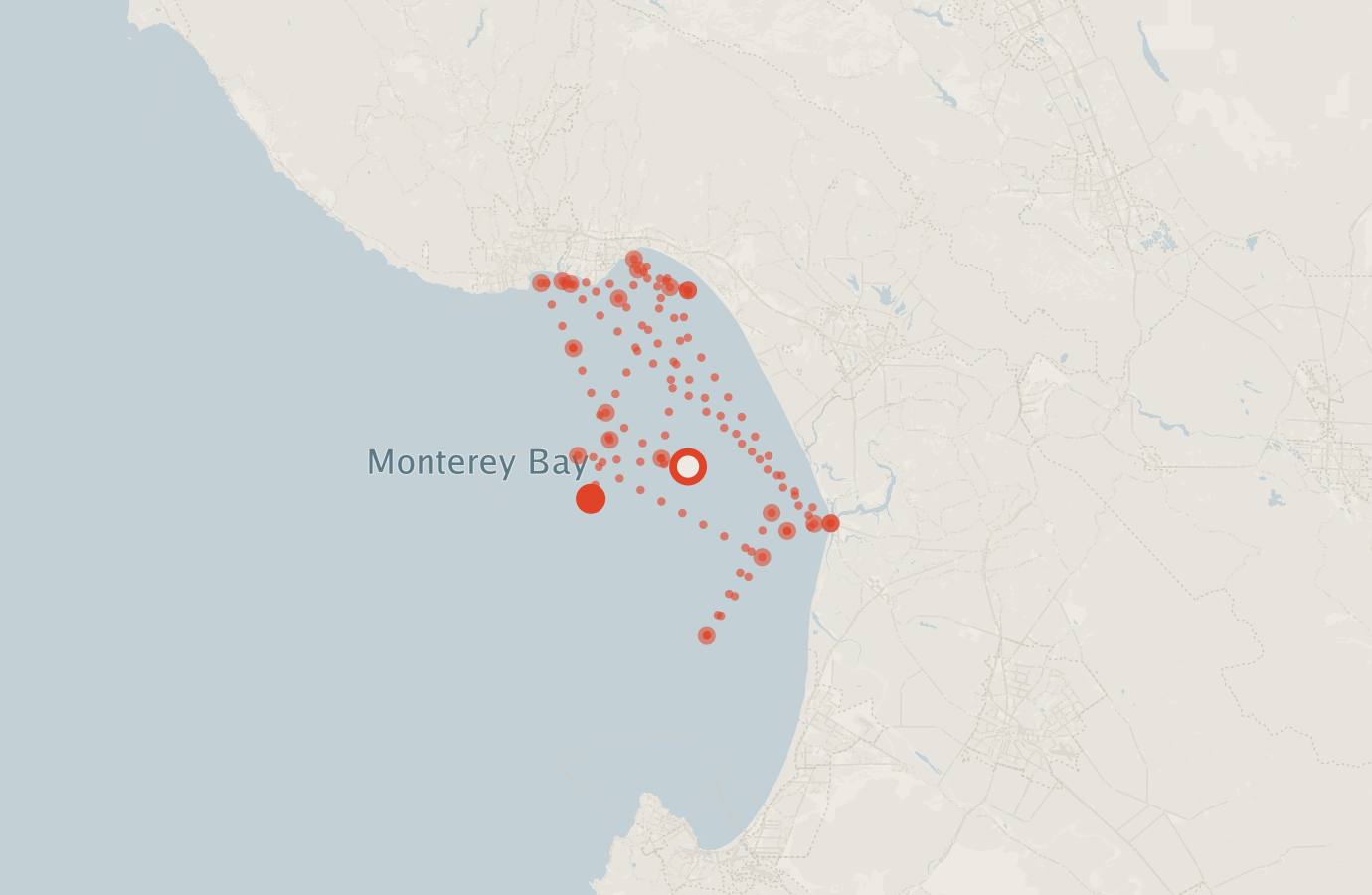 Activity map — real sighting points on an OpenStreetMap basemap