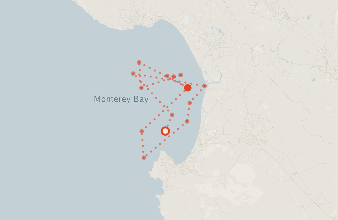 Activity map — real sighting points on an OpenStreetMap basemap