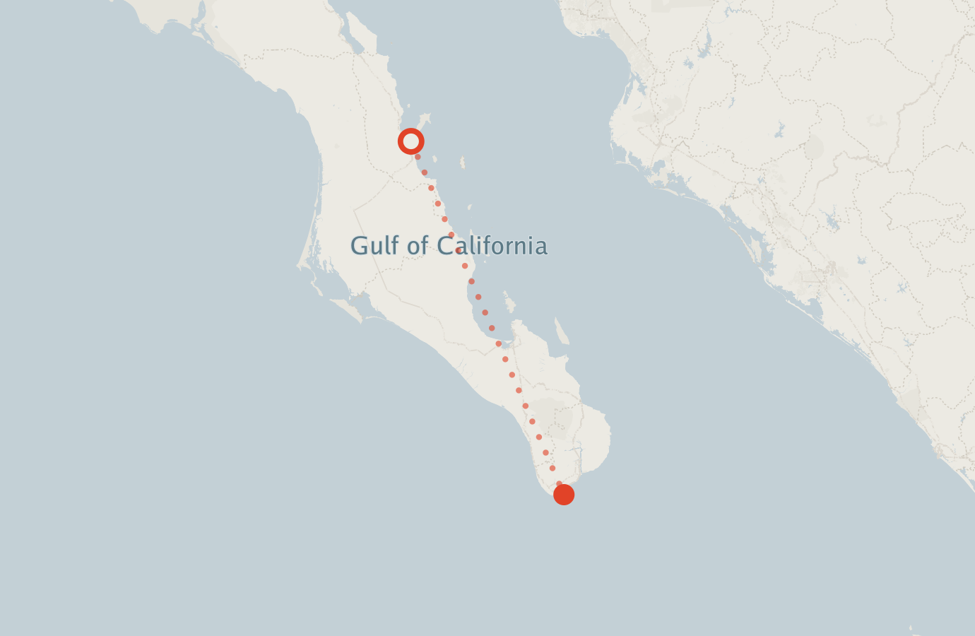 Activity map — real sighting points on an OpenStreetMap basemap