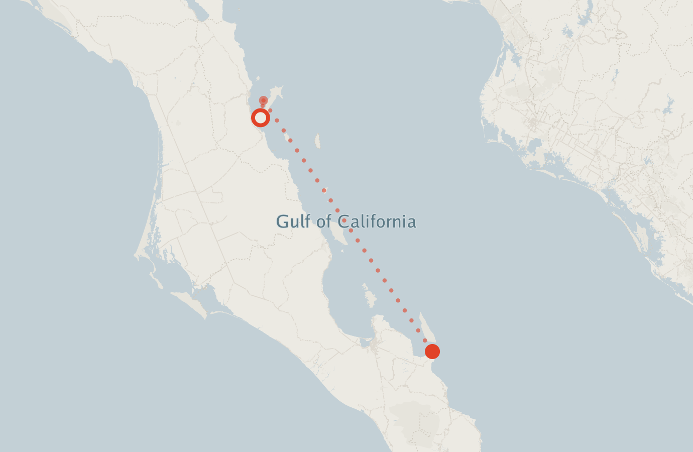 Activity map — real sighting points on an OpenStreetMap basemap