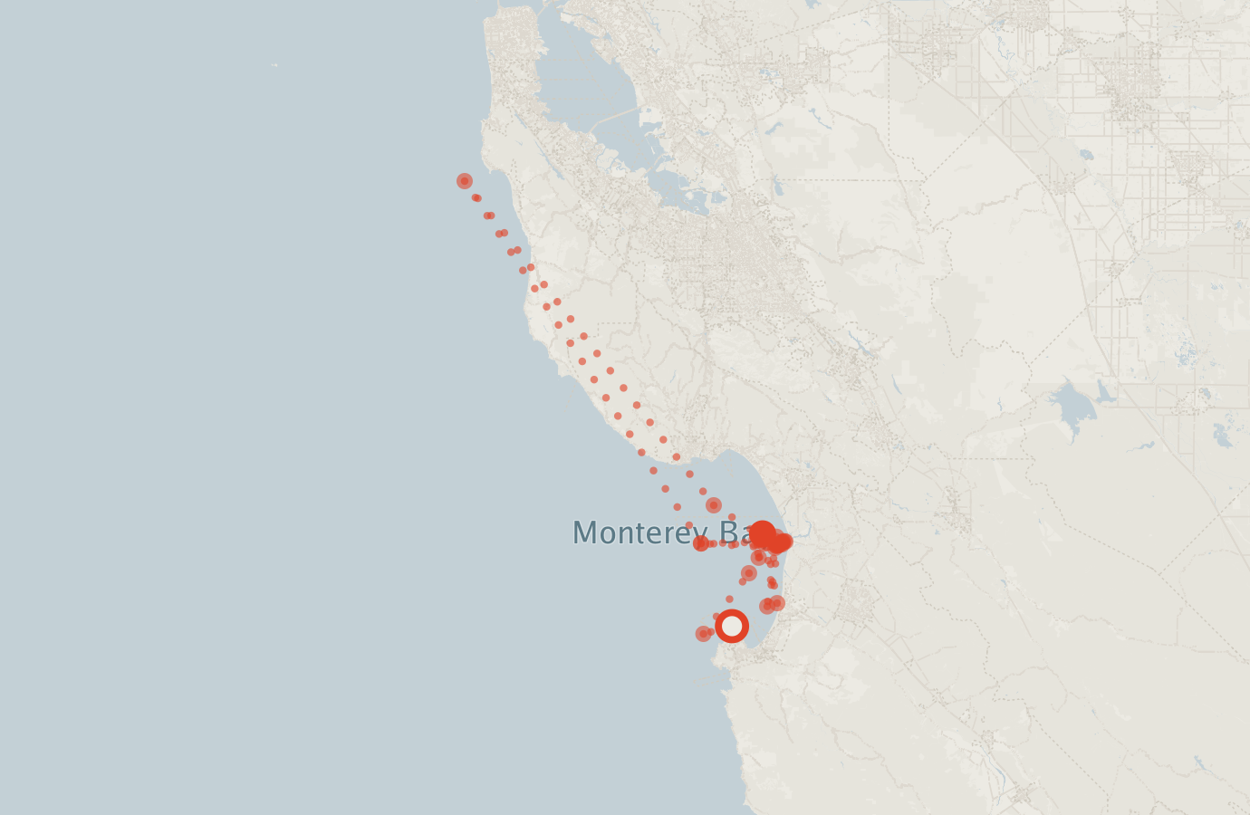Activity map — real sighting points on an OpenStreetMap basemap