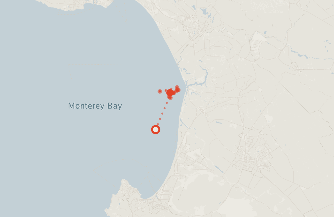 Activity map — real sighting points on an OpenStreetMap basemap