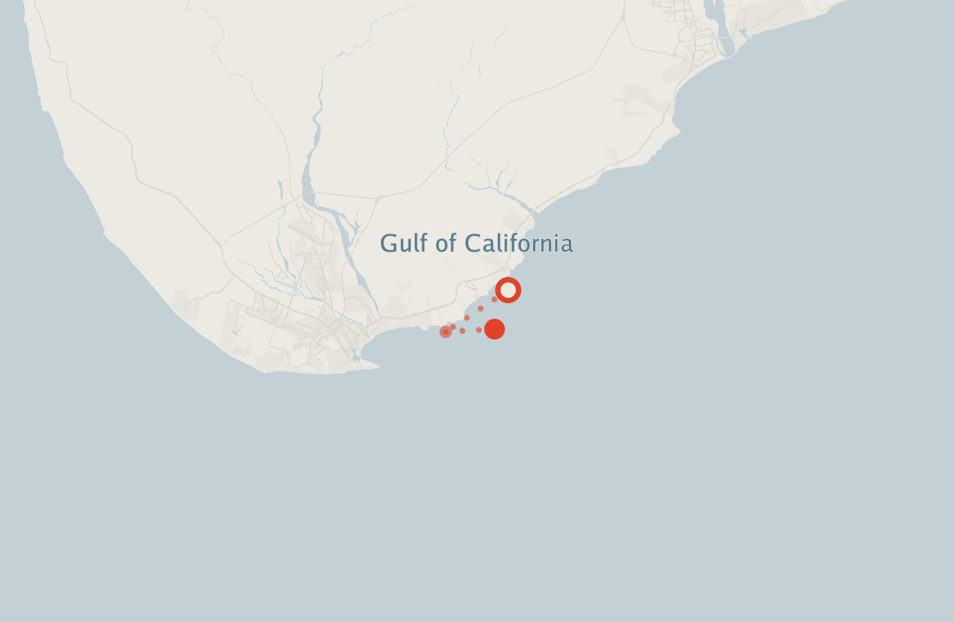 Activity map — real sighting points on an OpenStreetMap basemap
