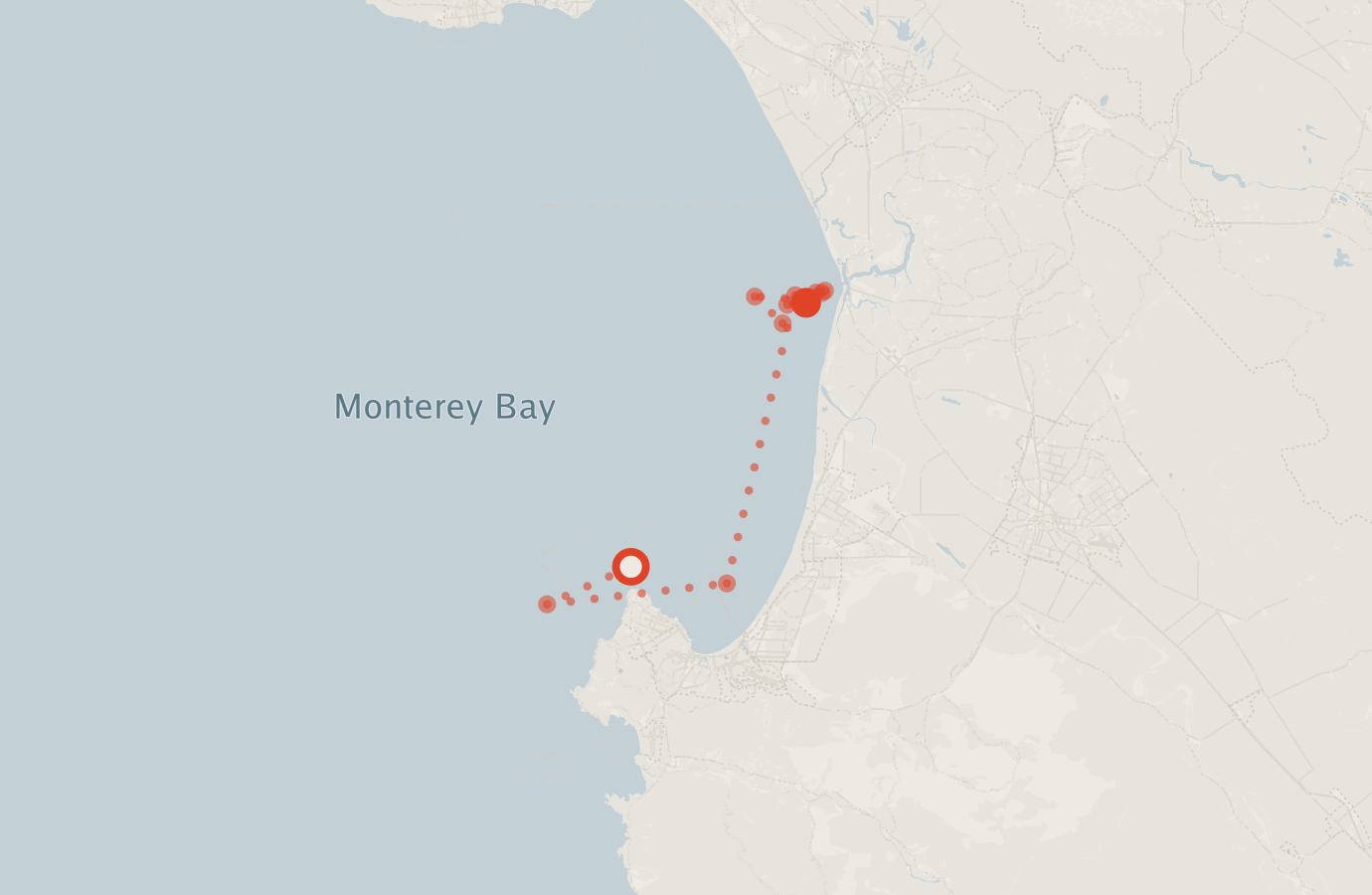 Activity map — real sighting points on an OpenStreetMap basemap