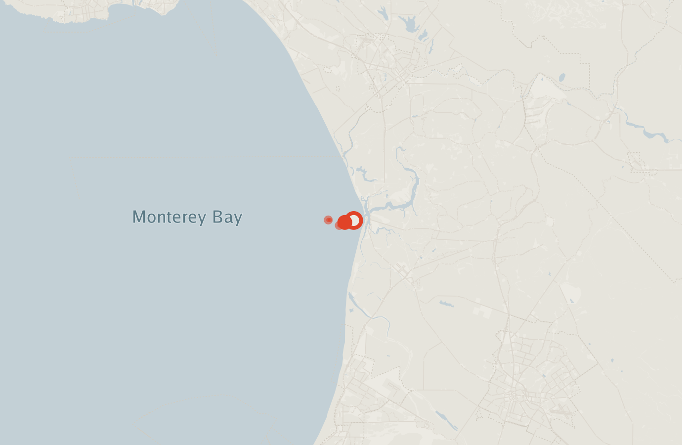 Activity map — real sighting points on an OpenStreetMap basemap