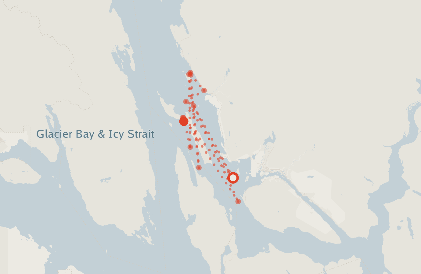Activity map — real sighting points on an OpenStreetMap basemap