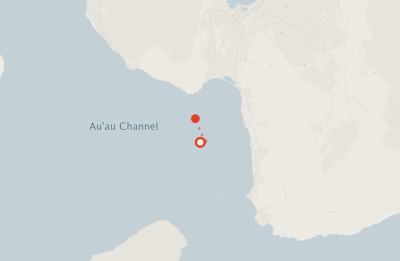 Activity map — real sighting points on an OpenStreetMap basemap