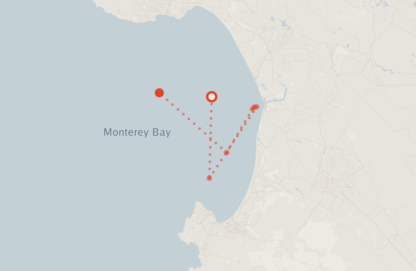 Activity map — real sighting points on an OpenStreetMap basemap