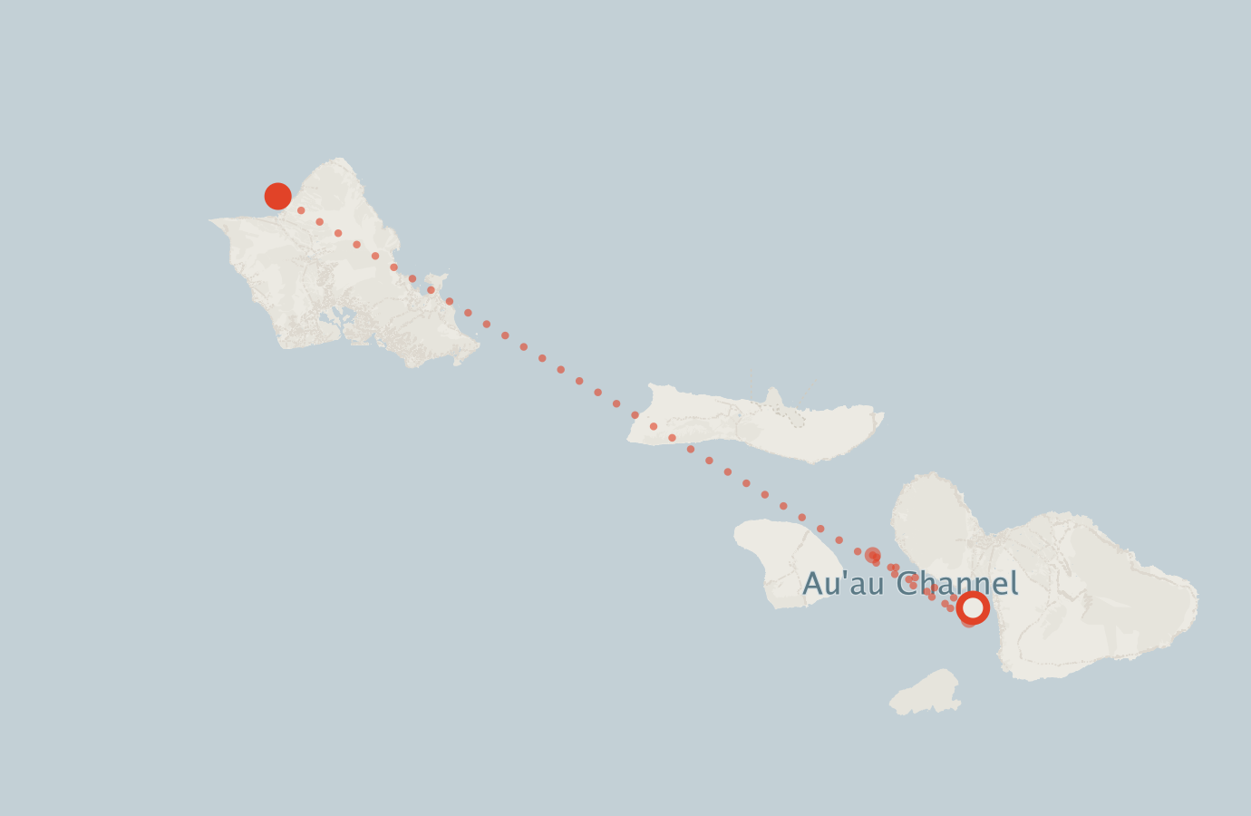 Activity map — real sighting points on an OpenStreetMap basemap