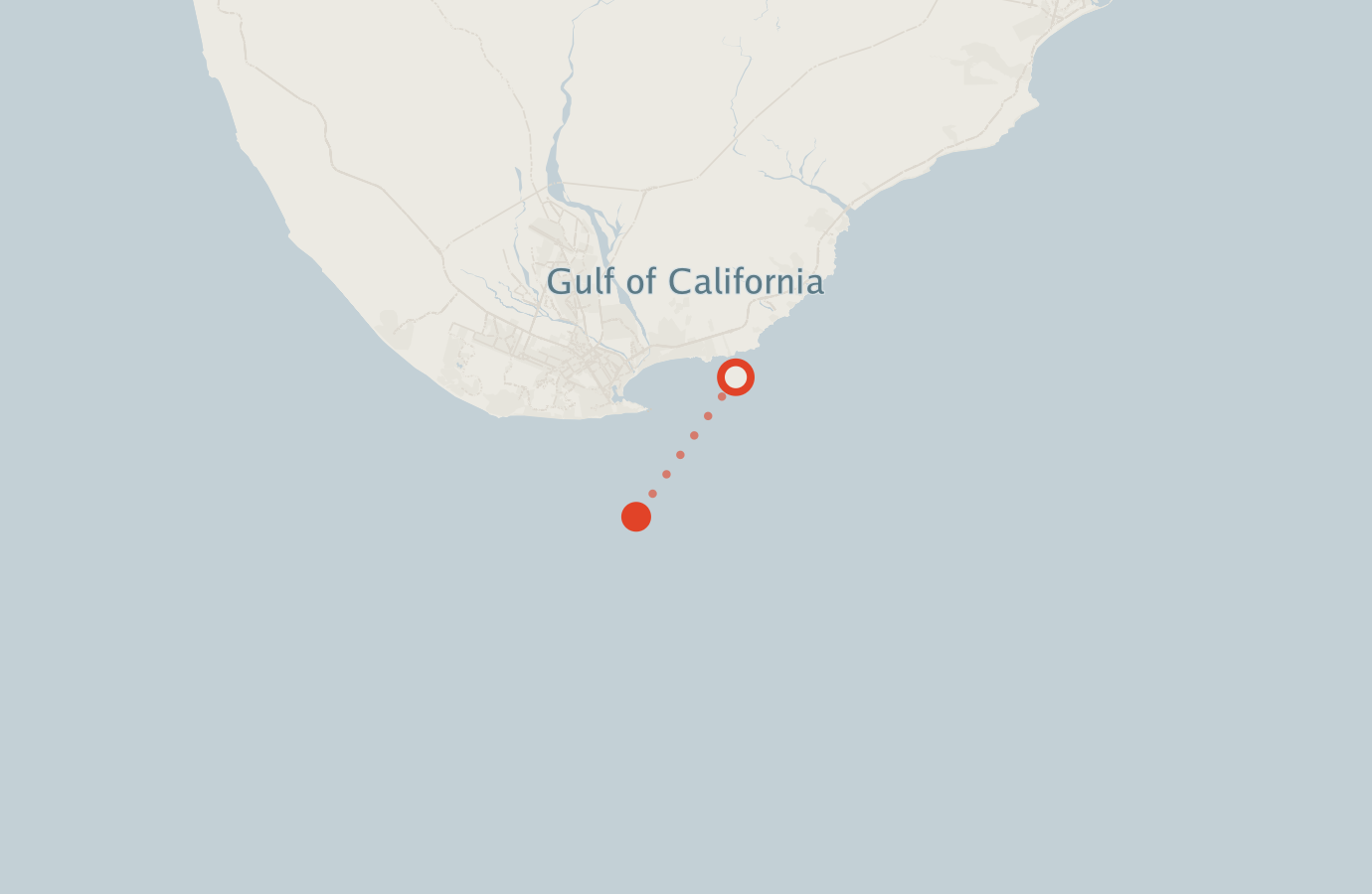 Activity map — real sighting points on an OpenStreetMap basemap