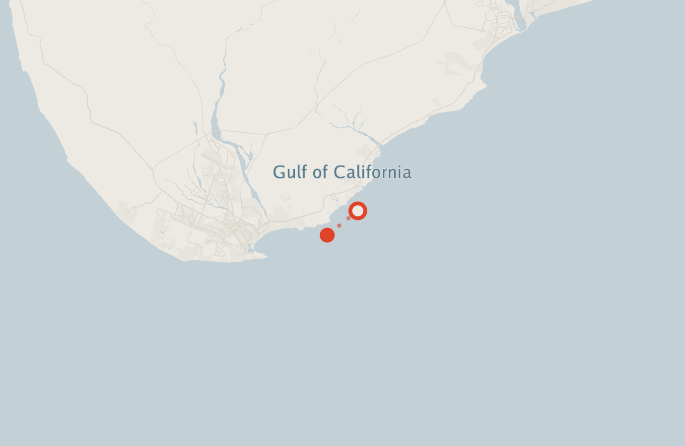 Activity map — real sighting points on an OpenStreetMap basemap