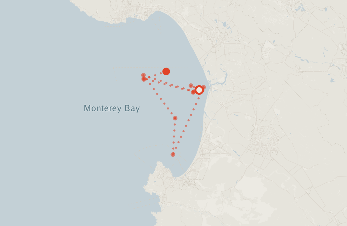 Activity map — real sighting points on an OpenStreetMap basemap
