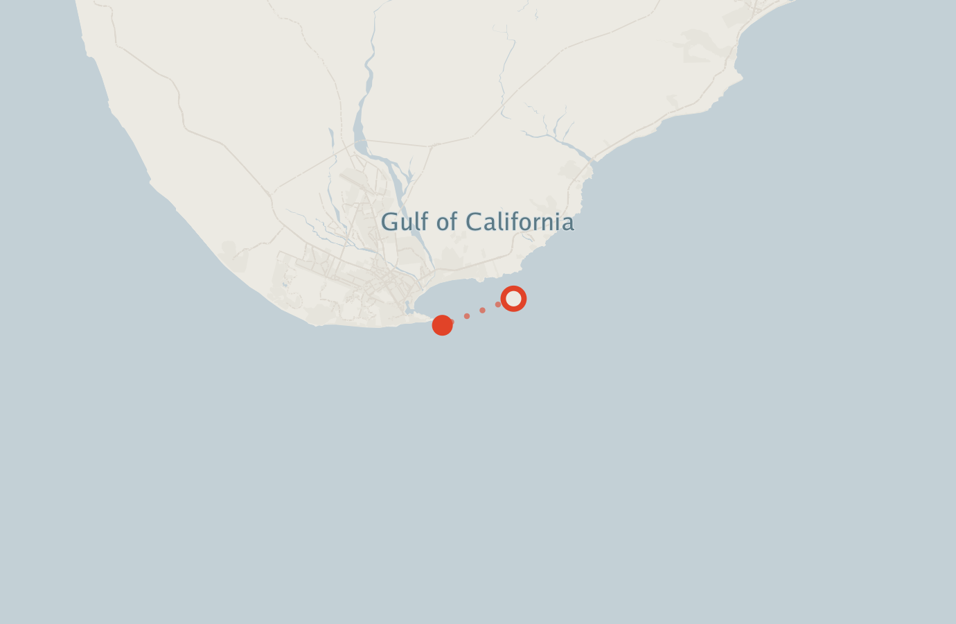 Activity map — real sighting points on an OpenStreetMap basemap