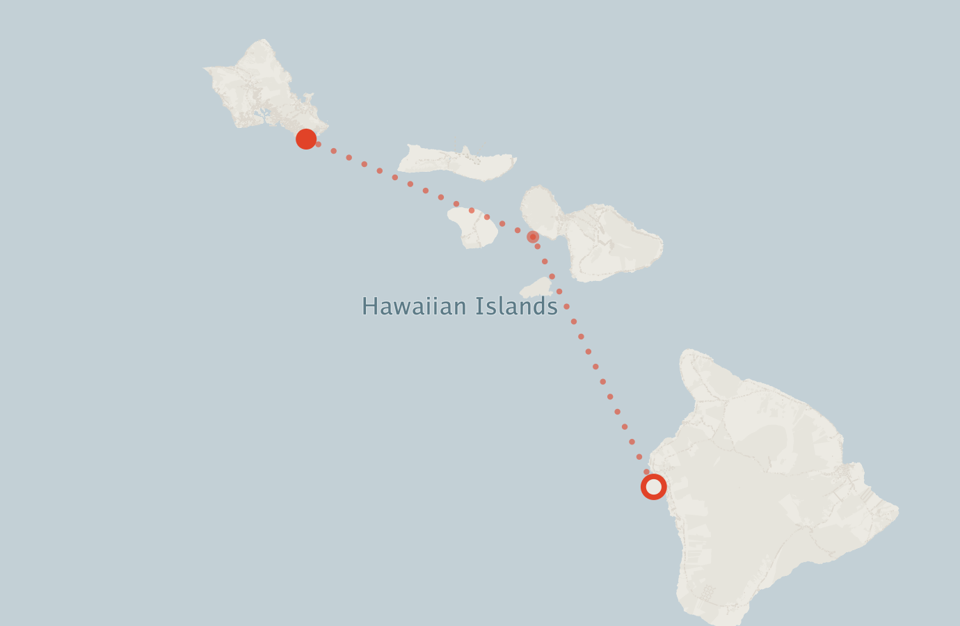 Activity map — real sighting points on an OpenStreetMap basemap