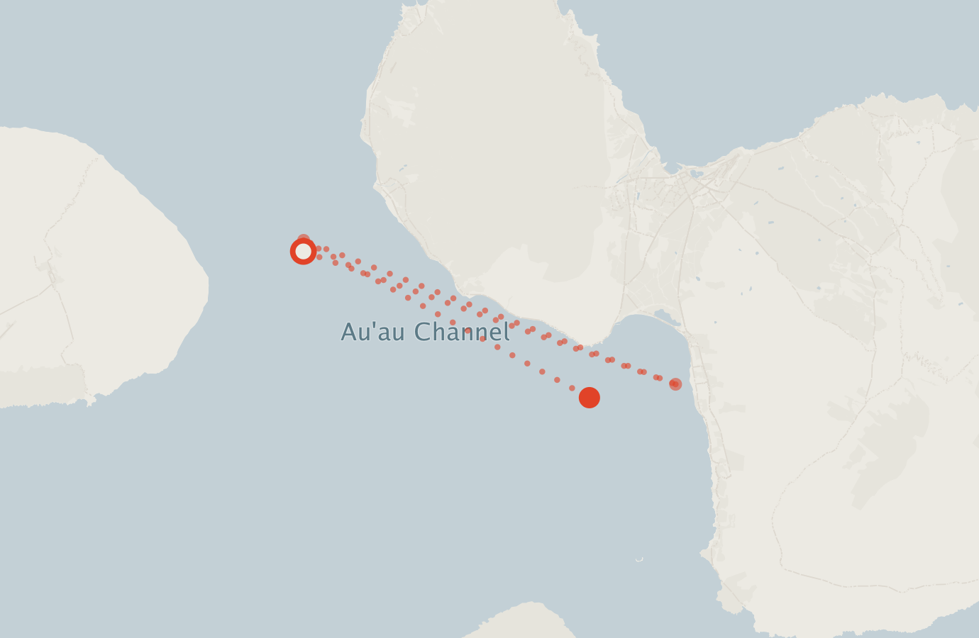 Activity map — real sighting points on an OpenStreetMap basemap