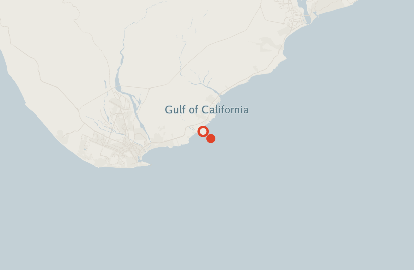 Activity map — real sighting points on an OpenStreetMap basemap