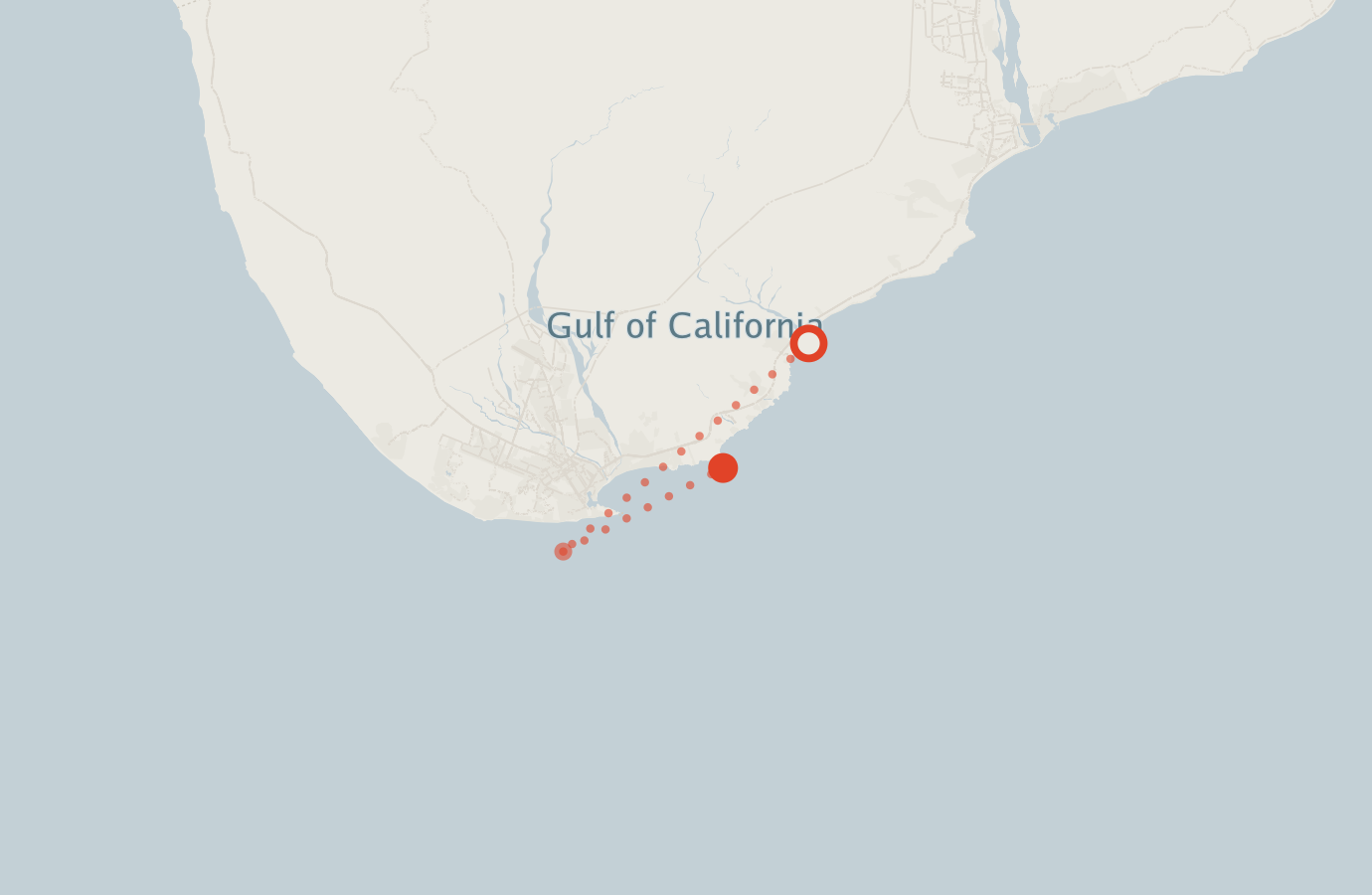 Activity map — real sighting points on an OpenStreetMap basemap
