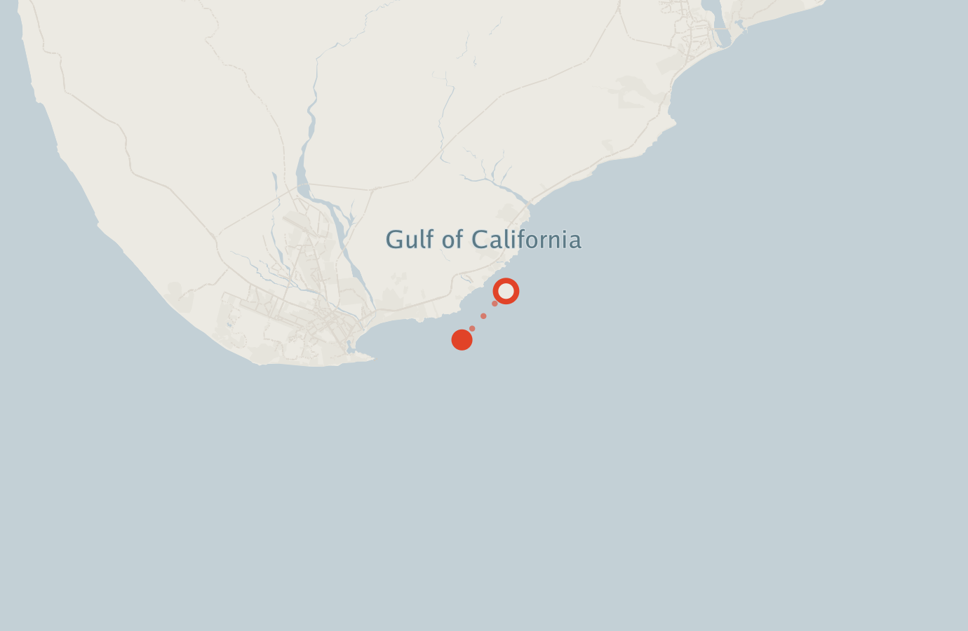Activity map — real sighting points on an OpenStreetMap basemap