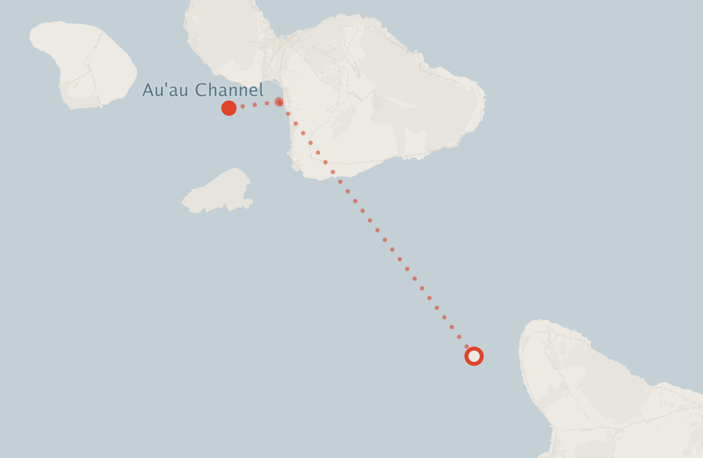 Activity map — real sighting points on an OpenStreetMap basemap