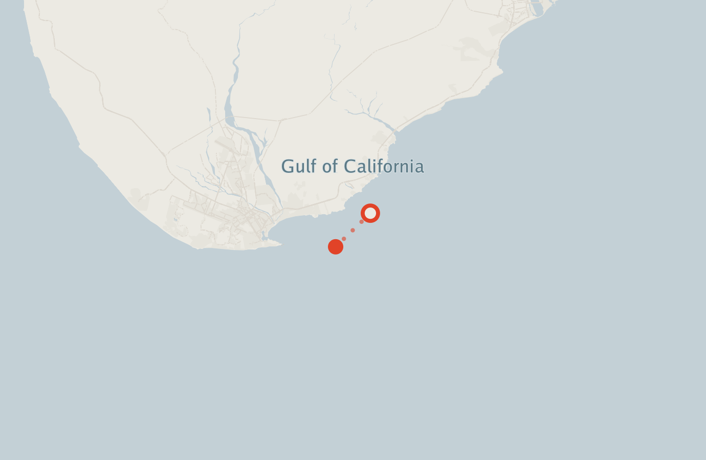 Activity map — real sighting points on an OpenStreetMap basemap