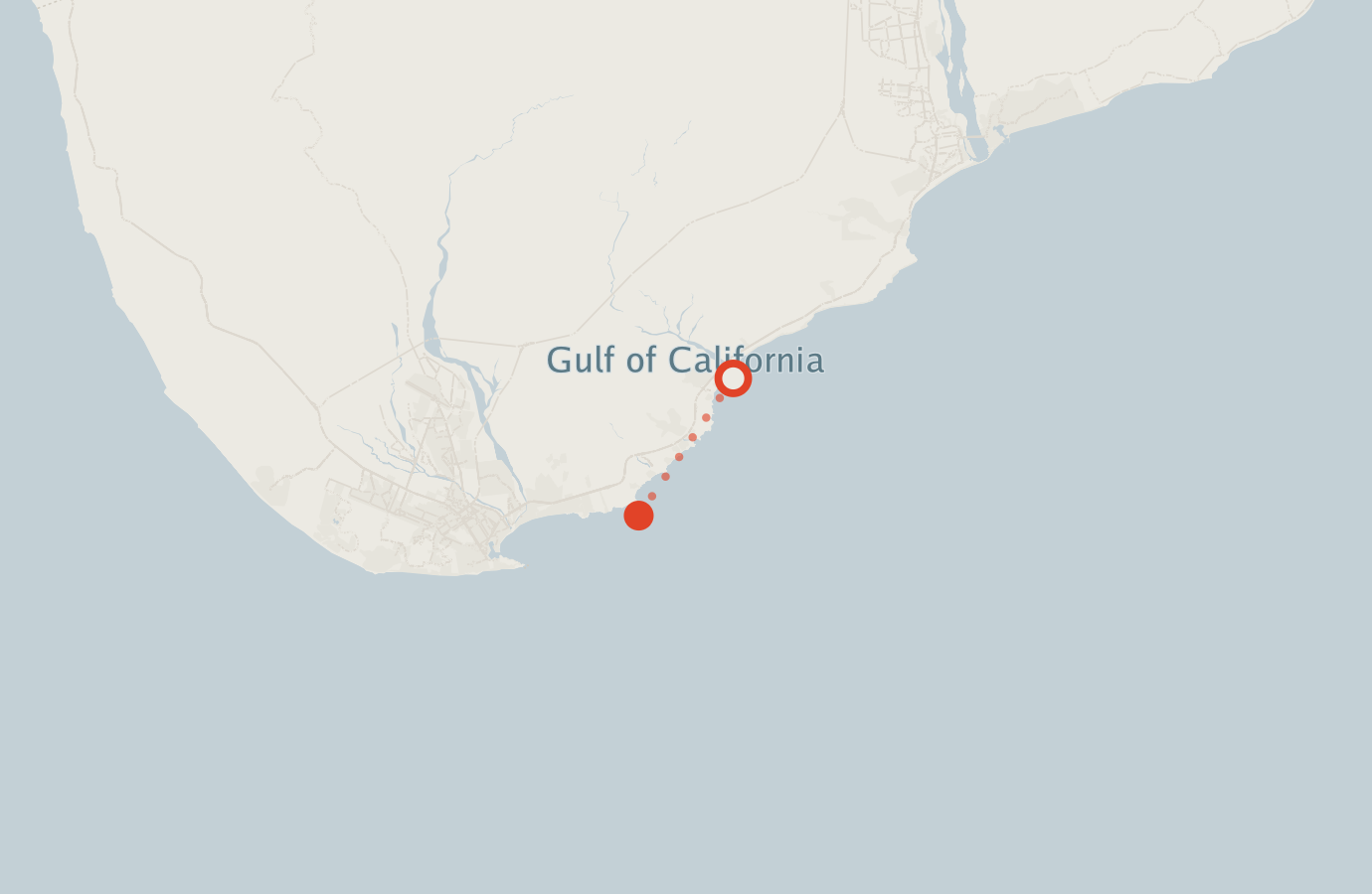 Activity map — real sighting points on an OpenStreetMap basemap